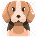 Beagle  Icon