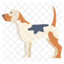 Beagle Tier Hund Symbol