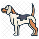 Beagle Tier Hund Symbol