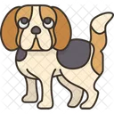 Beagle Puppy  Icon
