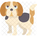 Beagle Puppy  Icon