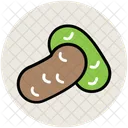 Bean Plant Seed Icon