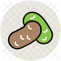 Bean  Icon