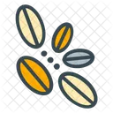 Bean Coffee Seed Icon