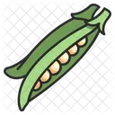 Bean  Icon