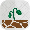 Bean Sprouts  Icon