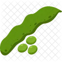 Bean Vegetable Vegetarian Icon