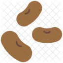 Beans Seeds Food Icon