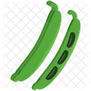 Beans Vegetable Icon