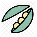Beans Healthy Vegetable Icon