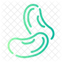 Beans  Icon