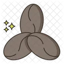 Beans Drink Coffee Beans Icon