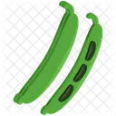 Beans Vegetable Icon