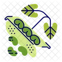 Beans Icon