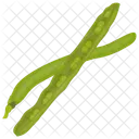 Beans Boston Pea Icon