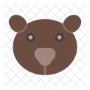 Bear Animal Zoo Icon