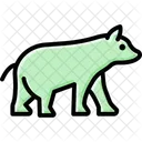 Bear  Icon