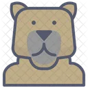 곰 변성 동물 아이콘