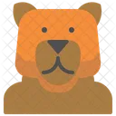 곰 변성 동물 아이콘