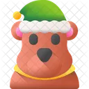 Bear Animal Zoo Icon