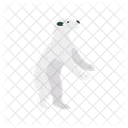 Bear Animal Circus Icon