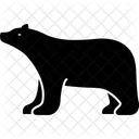 Bear Icon