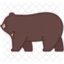 Camping Bear Animal Icon