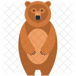 Bear  Icon