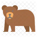 Bear Camping Pet Icon