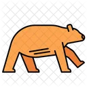 Bear Wildlife Animal Icon