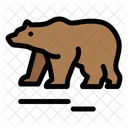 Bear Animal Polar Icon