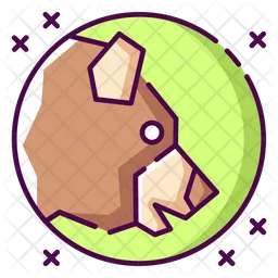 Bear  Icon