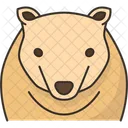 Bear Polar Animal Icon