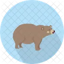 Bear Big Animal Icon