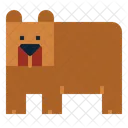 Bear Icon