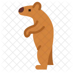 Bear  Icon