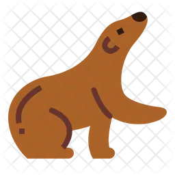 Bear  Icon