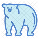 Bear  Icon