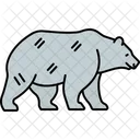 Bear  Icon