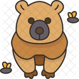 Bear  Icon