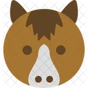 Bear  Symbol