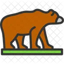 Animal Bear Beast Icon