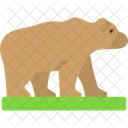 Animal Bear Beast Icon