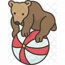Bear Ball Show Icon
