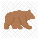 Bear Mammal Wild Icon