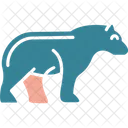 Bear Animal Mammal Icon