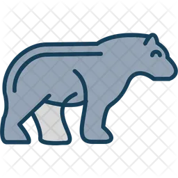 Bear  Icon