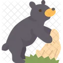 Bear Stuffed Wildlife Icon