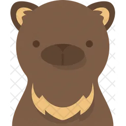 Bear Face  Icon