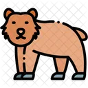 Bear  Icon